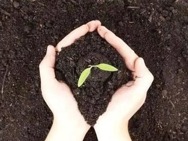  腐植酸肥料包含哪些物質(zhì)？作用體現(xiàn)在哪些方面？